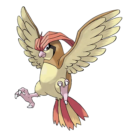 Pidgeotto