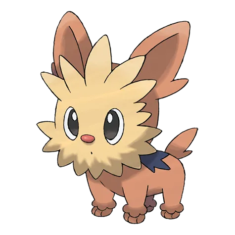 Lillipup